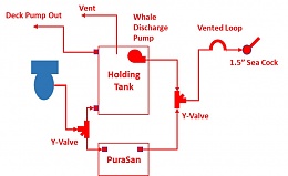 Click image for larger version

Name:	Weebles Head Schematic.jpg
Views:	134
Size:	47.2 KB
ID:	200196