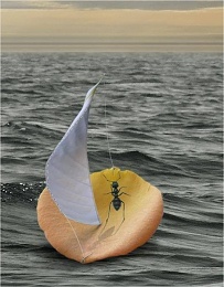 Click image for larger version

Name:	Sailing Craft.jpg
Views:	57
Size:	49.8 KB
ID:	201239