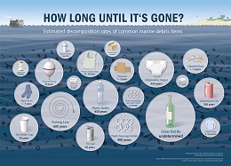 Click image for larger version

Name:	Marine-debris....jpg
Views:	273
Size:	122.2 KB
ID:	203729