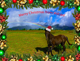 Click image for larger version

Name:	Horsey%20Xmas%20Card%20.jpg
Views:	63
Size:	148.9 KB
ID:	205659