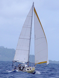 Click image for larger version

Name:	under sail wind aft.jpg
Views:	545
Size:	95.5 KB
ID:	205992
