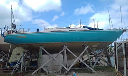 Click image for larger version

Name:	Toby's boat yard 2020.jpg
Views:	272
Size:	23.1 KB
ID:	208789