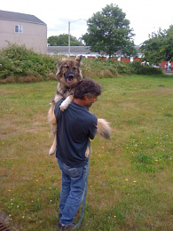 Click image for larger version

Name:	dog in my arms.JPG
Views:	49
Size:	123.6 KB
ID:	209673