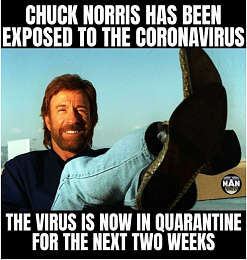 Click image for larger version

Name:	1584437238-chuck_norris.jpg
Views:	193
Size:	147.7 KB
ID:	213004