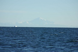 Click image for larger version

Name:	mt_hood_and_ferry.jpg
Views:	177
Size:	319.4 KB
ID:	21705