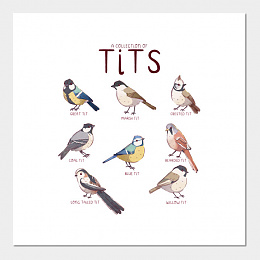 Click image for larger version

Name:	tits.jpg
Views:	58
Size:	47.5 KB
ID:	221905