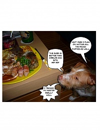 Click image for larger version

Name:	doggie dinner.jpg
Views:	304
Size:	288.9 KB
ID:	22245