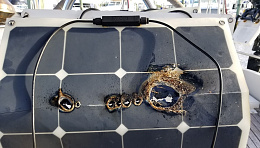 Click image for larger version

Name:	solar panel fire (2).jpg
Views:	258
Size:	409.5 KB
ID:	227146