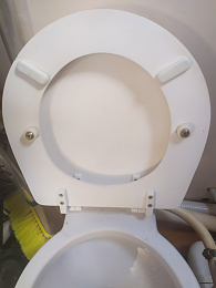 Click image for larger version

Name:	Toilet Seat 153838.jpg
Views:	142
Size:	262.6 KB
ID:	229085