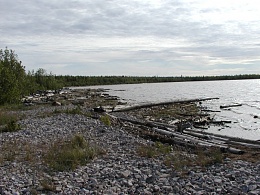 Click image for larger version

Name:	slave lake shore.jpg
Views:	403
Size:	147.1 KB
ID:	23012