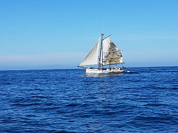Click image for larger version

Name:	sailboat <a title=