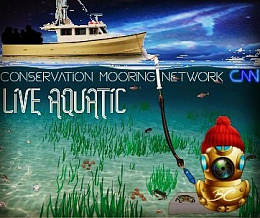 Click image for larger version

Name:	CMN mooring network.jpg
Views:	43
Size:	43.1 KB
ID:	233841