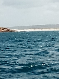 Click image for larger version

Name:	Gabo Island to Green Cape, 014.jpg
Views:	63
Size:	348.2 KB
ID:	234559