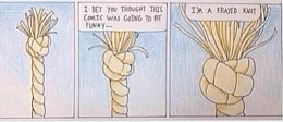 Click image for larger version

Name:	frayed knot.jpg
Views:	323
Size:	197.1 KB
ID:	236149