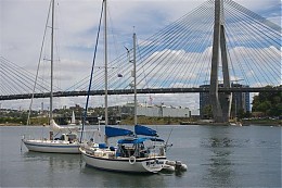 Click image for larger version

Name:	Blackwattle Bay - Blue Moon.JPG
Views:	215
Size:	57.5 KB
ID:	2397