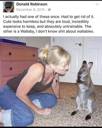 Click image for larger version

Name:	wallaby.jpg
Views:	594
Size:	413.8 KB
ID:	240937