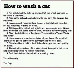 Click image for larger version

Name:	How to wash a cat.png
Views:	1837
Size:	316.7 KB
ID:	240986