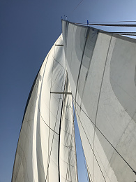 Click image for larger version

Name:	Sails Up Under Way.jpg
Views:	396
Size:	406.3 KB
ID:	242097