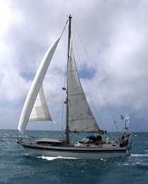 Click image for larger version

Name:	at sail.jpg
Views:	384
Size:	22.7 KB
ID:	24216