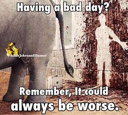 Click image for larger version

Name:	Bad Day.jpg
Views:	223
Size:	67.4 KB
ID:	243811