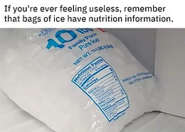 Click image for larger version

Name:	ice bag.jpg
Views:	293
Size:	76.0 KB
ID:	249120