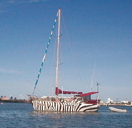 Click image for larger version

Name:	zebra-boat.jpg
Views:	59
Size:	14.7 KB
ID:	249655