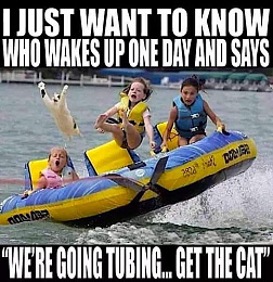 Click image for larger version

Name:	cat tubing.jpg
Views:	67
Size:	94.3 KB
ID:	254956