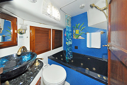 Click image for larger version

Name:	Aft bathroom.jpg
Views:	764
Size:	425.4 KB
ID:	256597