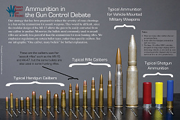 Click image for larger version

Name:	Common-Bullet-Sizes.jpg
Views:	35
Size:	423.2 KB
ID:	257931