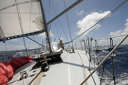 Click image for larger version

Name:	1024 Sailing in the morning.jpg
Views:	16
Size:	436.7 KB
ID:	264812