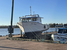 Click image for larger version

Name:	Tracadie-Fiona.jpg
Views:	55
Size:	438.8 KB
ID:	264958