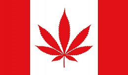 Click image for larger version

Name:	Canadian_Cannabis_Flag_mgretailer.jpg
Views:	20
Size:	53.1 KB
ID:	269151
