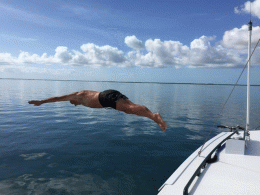 Click image for larger version

Name:	P Wallace dive 4.gif
Views:	87
Size:	153.3 KB
ID:	270561
