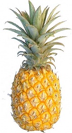 Click image for larger version

Name:	pineapple.jpg
Views:	237
Size:	28.6 KB
ID:	27273