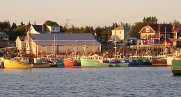 Click image for larger version

Name:	Fishing Boats at Grand Manan 2.jpg
Views:	137
Size:	334.6 KB
ID:	274297