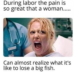 Click image for larger version

Name:	Lose a big fish pain.jpg
Views:	57
Size:	41.3 KB
ID:	280841