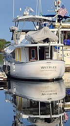 Click image for larger version

Name:	Weebles Stern Chiapas.jpg
Views:	19
Size:	98.1 KB
ID:	287774