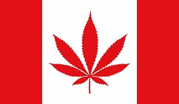 Click image for larger version

Name:	Canadian_Cannabis_Flag_mgretailer.jpg
Views:	8
Size:	53.1 KB
ID:	287979