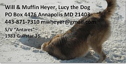 Click image for larger version

Name:	dog card.JPG
Views:	502
Size:	50.1 KB
ID:	30338
