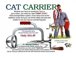 Click image for larger version

Name:	CatCarrier.jpg
Views:	544
Size:	37.0 KB
ID:	30937