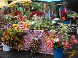 Click image for larger version

Name:	dominica mkt.jpg
Views:	280
Size:	282.1 KB
ID:	41224