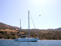 Click image for larger version

Name:	IMG_5980_anchored_Catalina_600x450.jpg
Views:	432
Size:	76.3 KB
ID:	46790