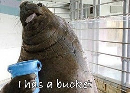 Click image for larger version

Name:	bucket.jpg
Views:	267
Size:	24.1 KB
ID:	46910