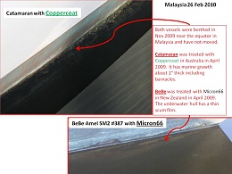 Click image for larger version

Name:	Coppercoat vs Micron66 Results Feb 2010.jpg
Views:	553
Size:	76.6 KB
ID:	47268