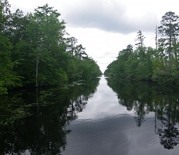 Click image for larger version

Name:	Great_Dismal_Swamp.jpg
Views:	408
Size:	173.3 KB
ID:	48147