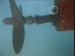 Click image for larger version

Name:	MAKAI prop loose screw.jpg
Views:	270
Size:	185.6 KB
ID:	50543