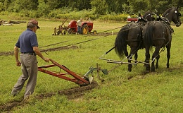 Click image for larger version

Name:	farmers_plow2.jpg
Views:	98
Size:	152.8 KB
ID:	54512