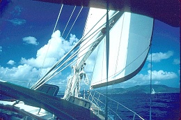 Click image for larger version

Name:	SBF_Sails2.jpg
Views:	411
Size:	314.2 KB
ID:	56678