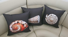 Click image for larger version

Name:	nauti cushions II (reduced).jpg
Views:	619
Size:	75.5 KB
ID:	57559