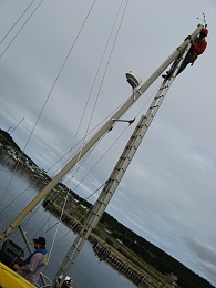 Click image for larger version

Name:	Using Ladder to climb mizzen mast - fr side - 20110813.JPG
Views:	929
Size:	172.3 KB
ID:	57739